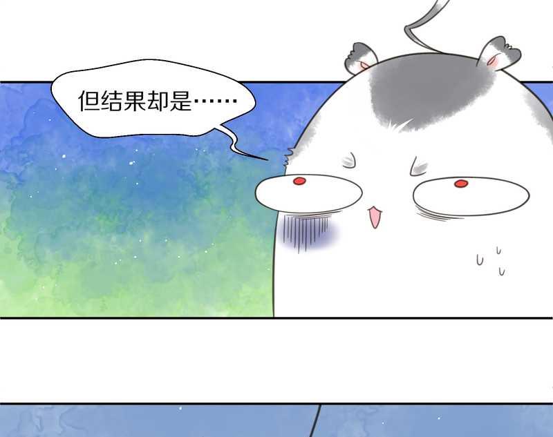 毛球星传说 第34集(1/2)-第34话