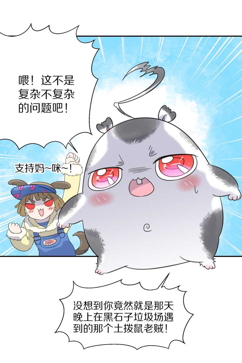 毛球星传说 第36集-第36话