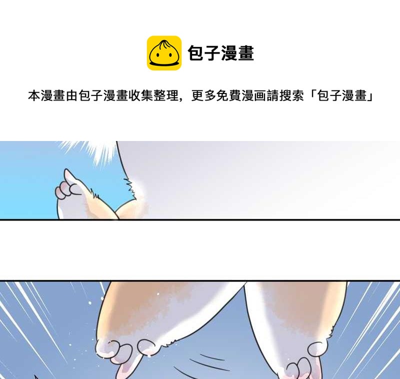 毛球星传说 第36集-第36话