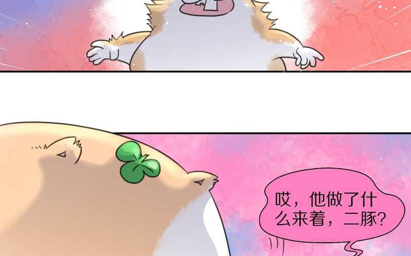 毛球星传说 第36集-第36话