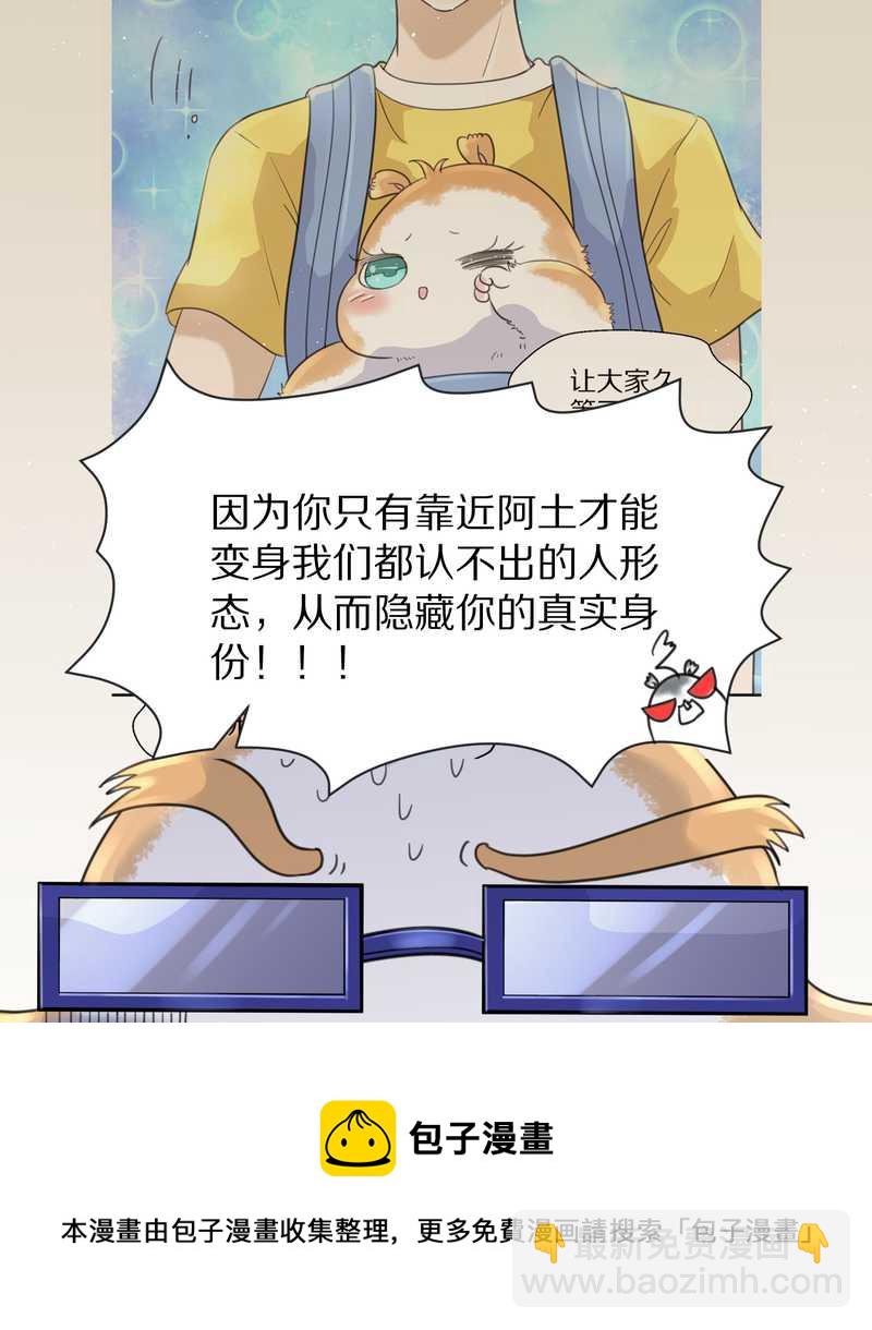 毛球星传说 第36集-第36话