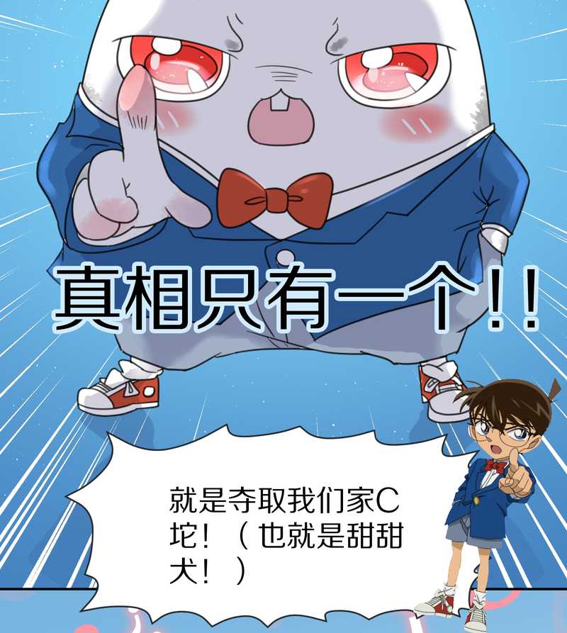 毛球星传说 第36集-第36话