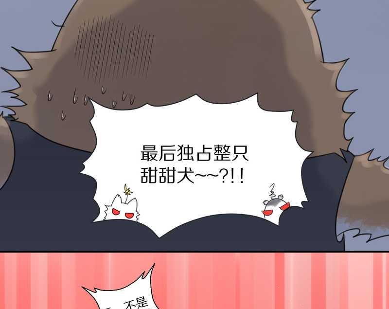 毛球星传说 第36集-第36话