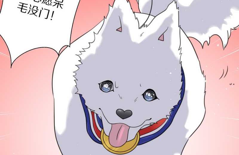 毛球星传说 第38集(1/2)-第38话