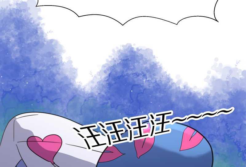 毛球星传说 第38集(1/2)-第38话