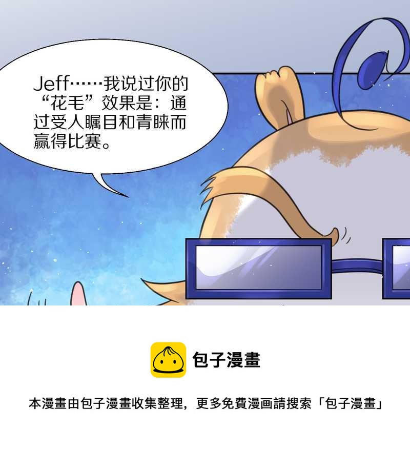 毛球星传说 第38集(1/2)-第38话