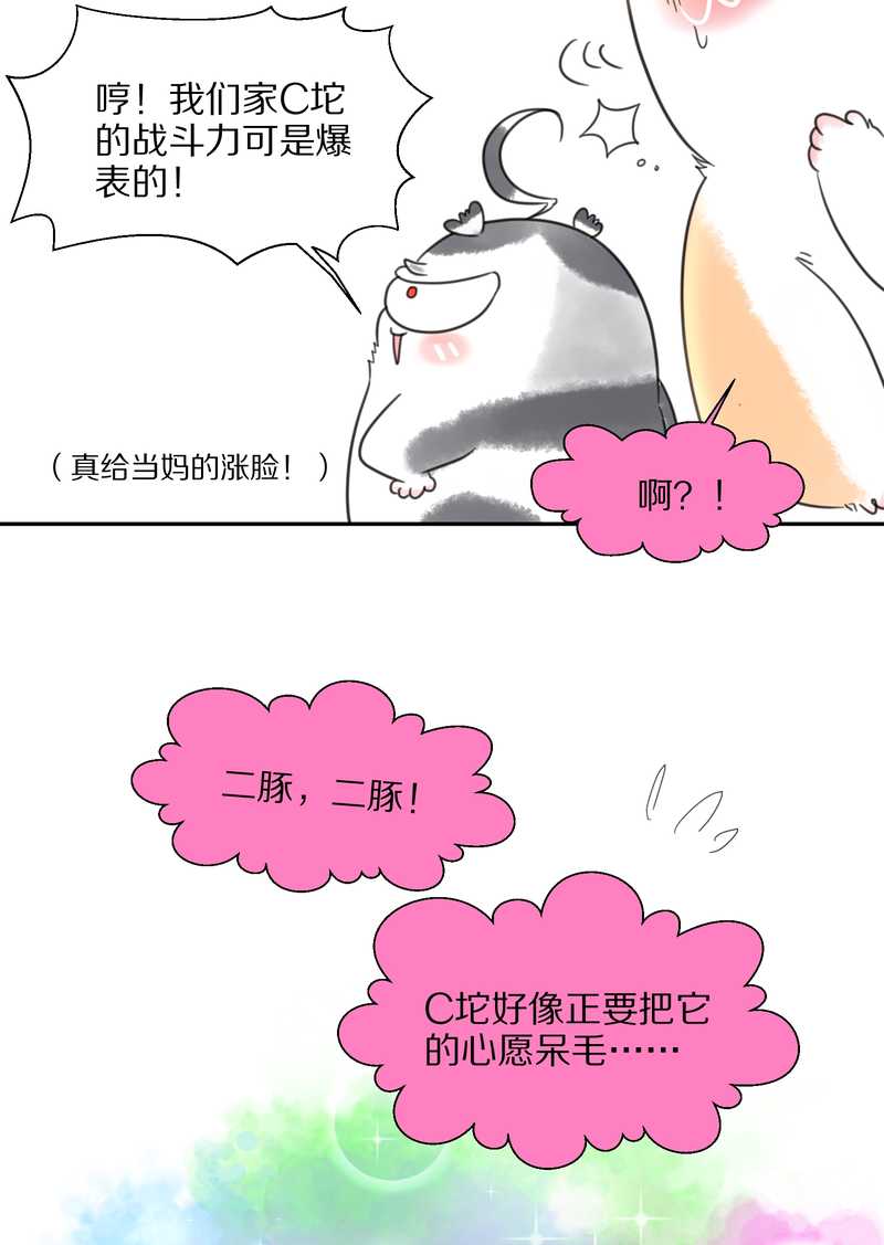 毛球星传说 第38集(1/2)-第38话