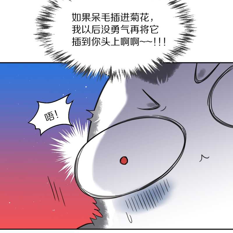 毛球星传说 第38集(1/2)-第38话