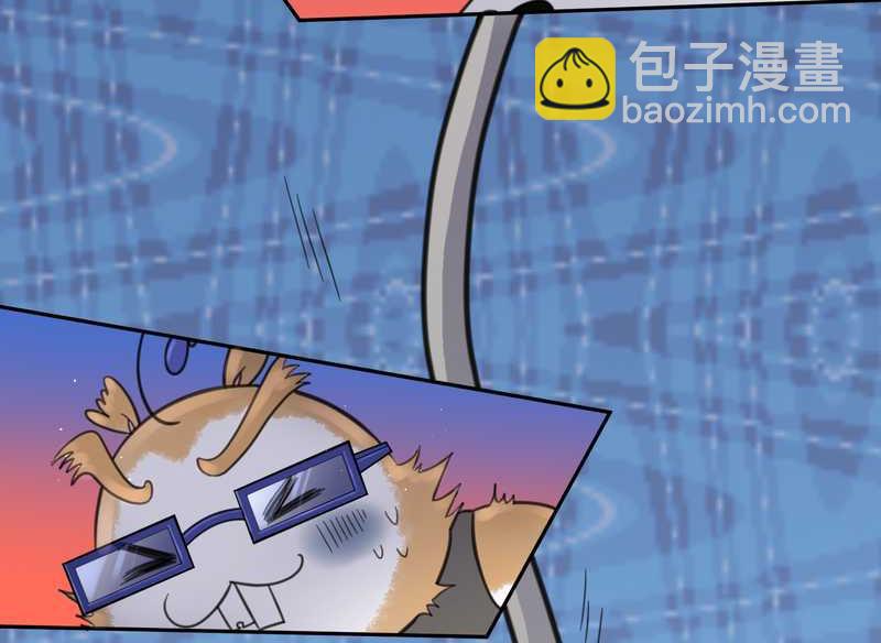 毛球星传说 第38集(1/2)-第38话