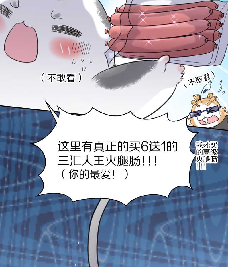 毛球星传说 第38集(1/2)-第38话