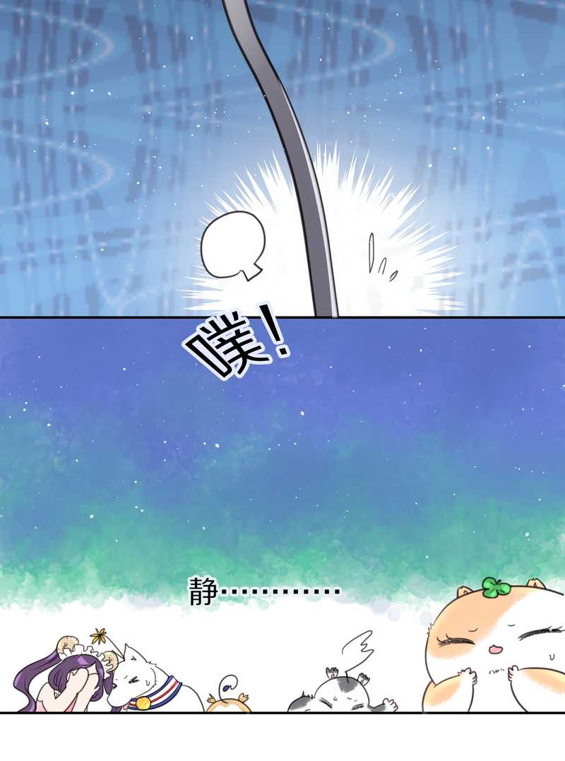 毛球星传说 第38集(1/2)-第38话