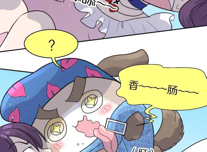 毛球星传说 第38集(1/2)-第38话