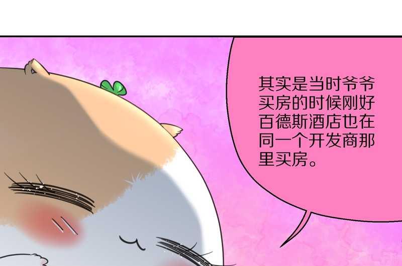毛球星传说 第40集(1/2)-第40话