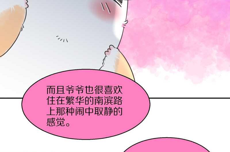 毛球星传说 第40集(1/2)-第40话