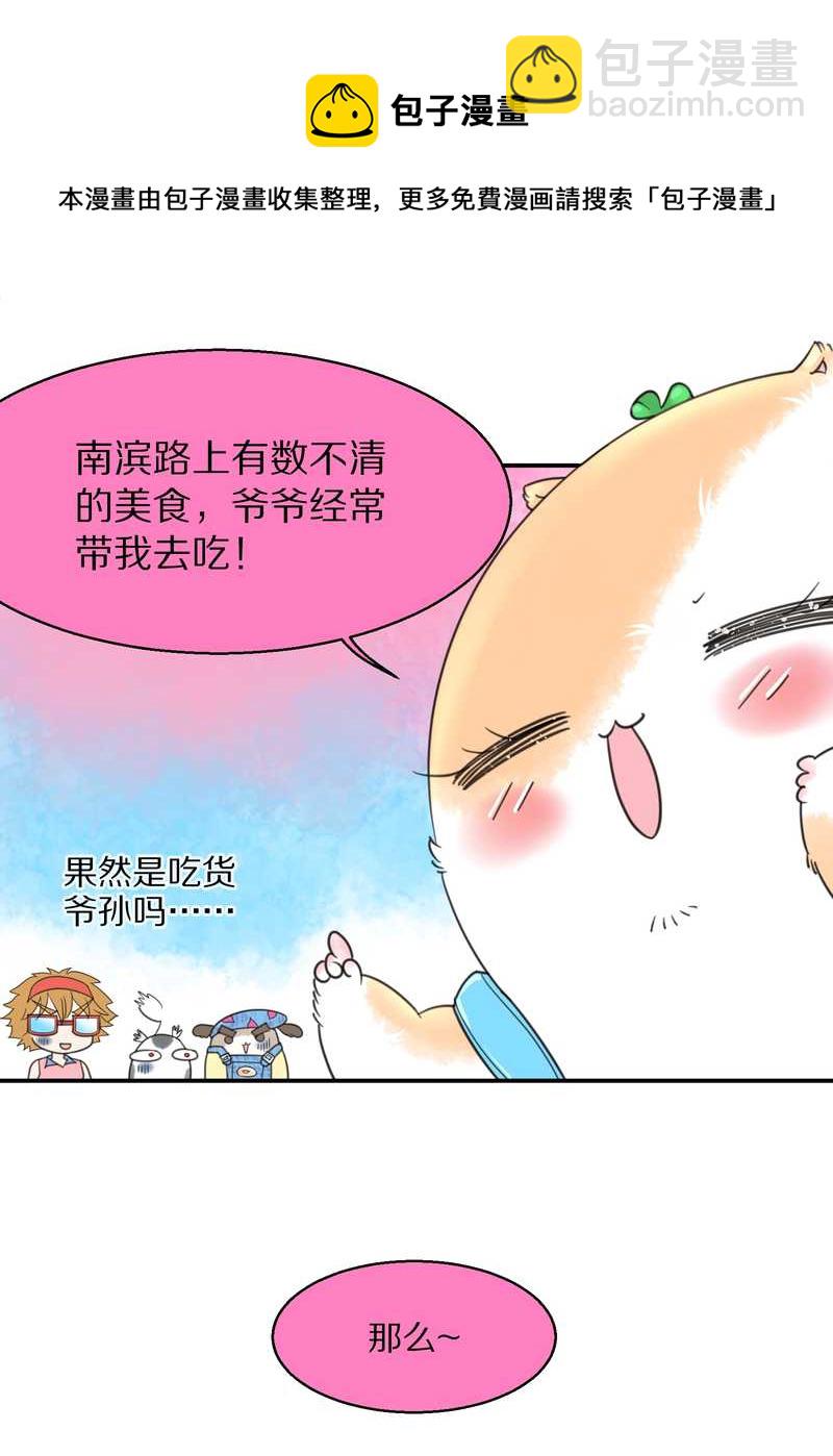 毛球星传说 第40集(1/2)-第40话