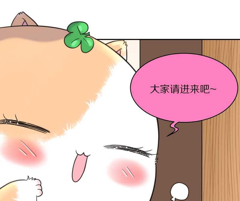 毛球星传说 第40集(1/2)-第40话