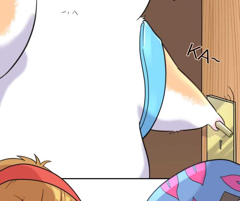 毛球星传说 第40集(1/2)-第40话