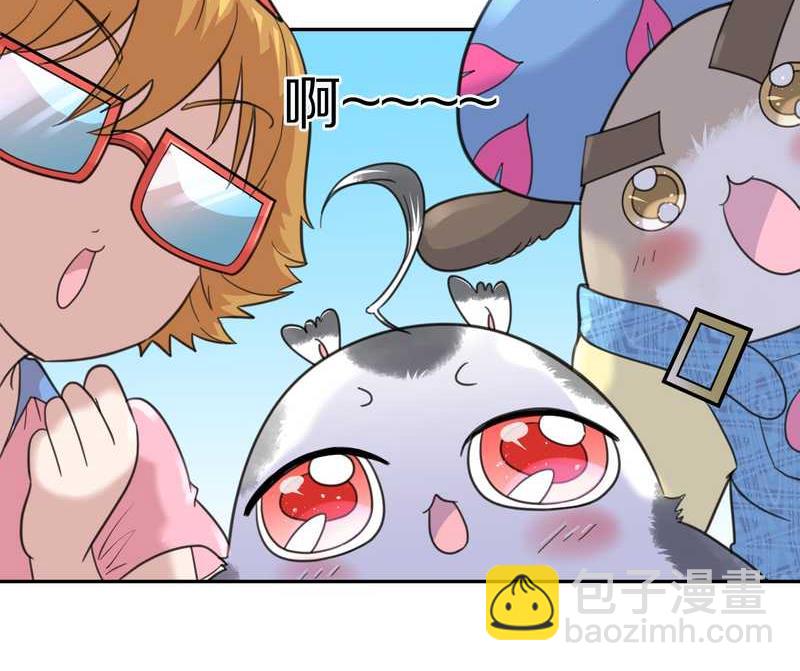 毛球星传说 第40集(1/2)-第40话