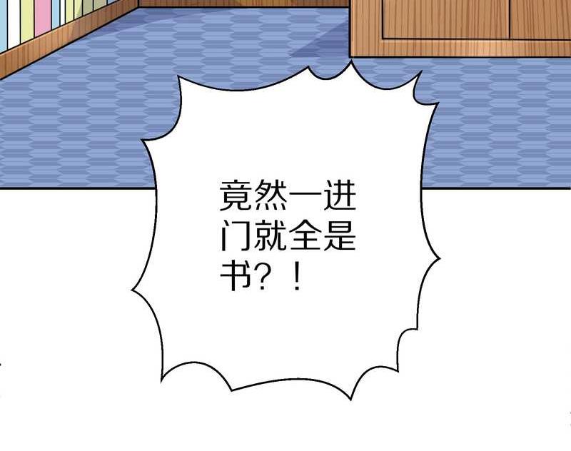 毛球星传说 第40集(1/2)-第40话