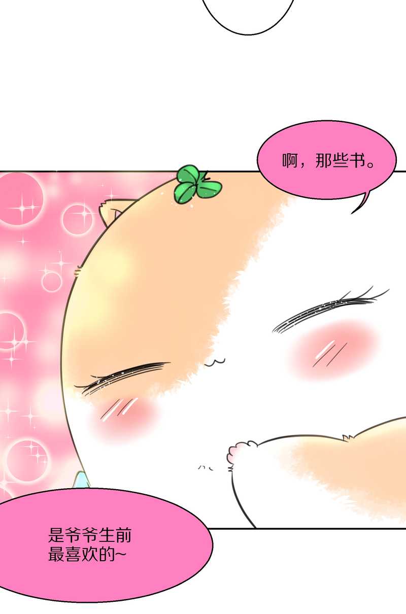 毛球星传说 第40集(1/2)-第40话