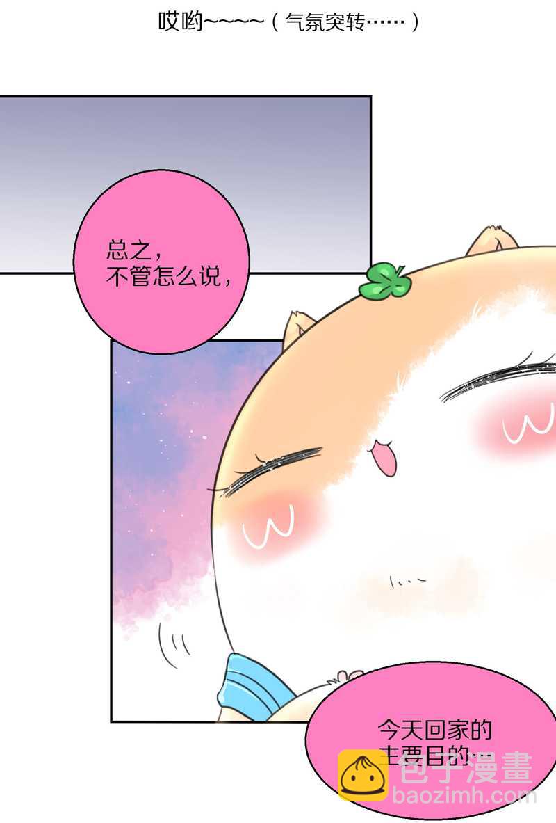 毛球星传说 第40集(1/2)-第40话