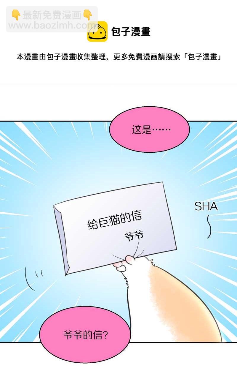 毛球星传说 第40集(1/2)-第40话