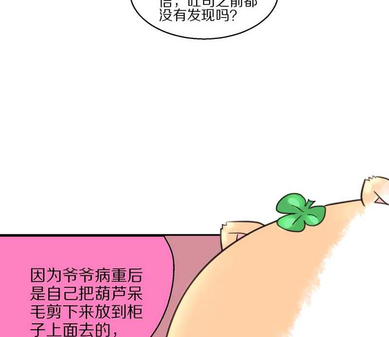毛球星传说 第40集(1/2)-第40话