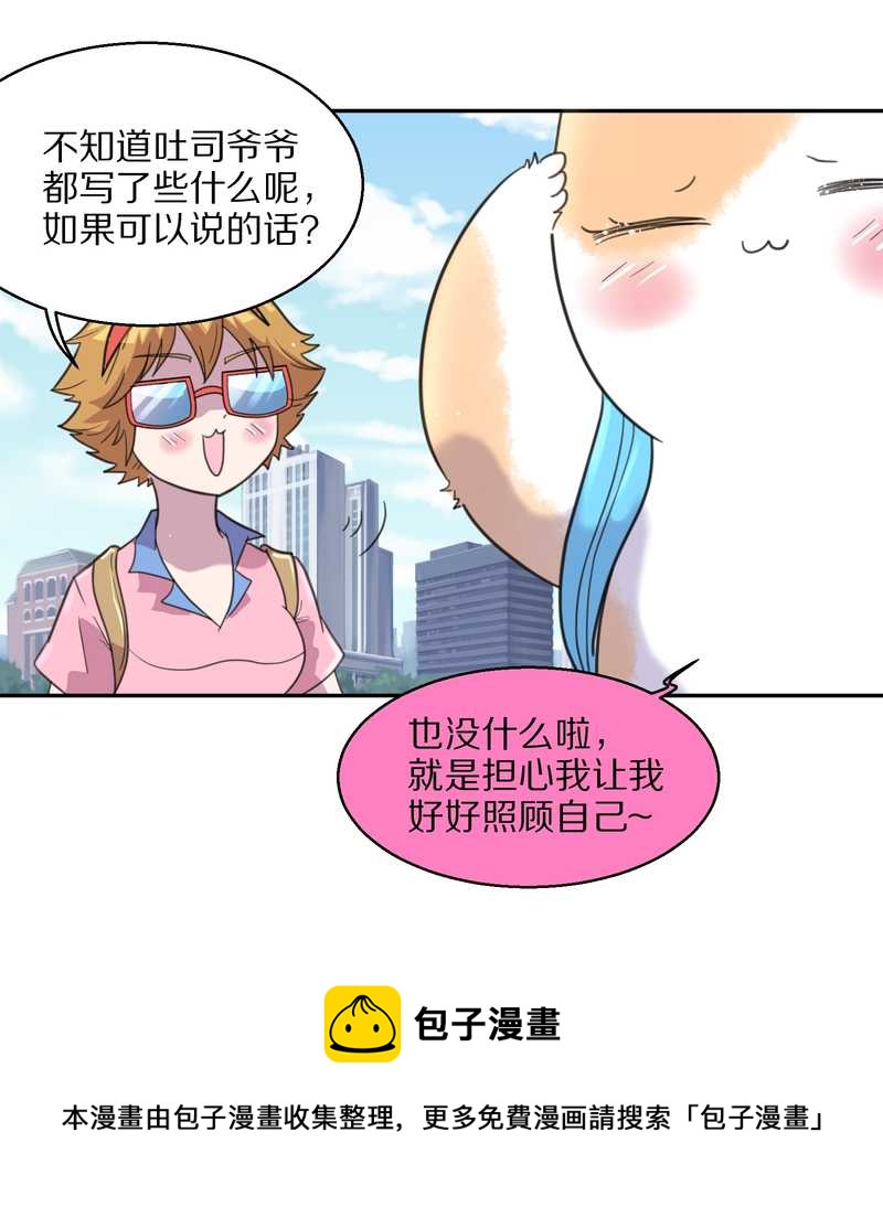 毛球星传说 第40集(1/2)-第40话