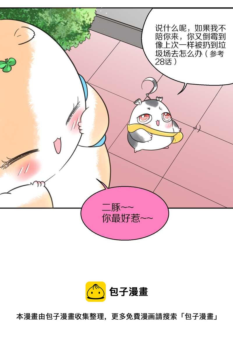 毛球星传说 第40集(1/2)-第40话