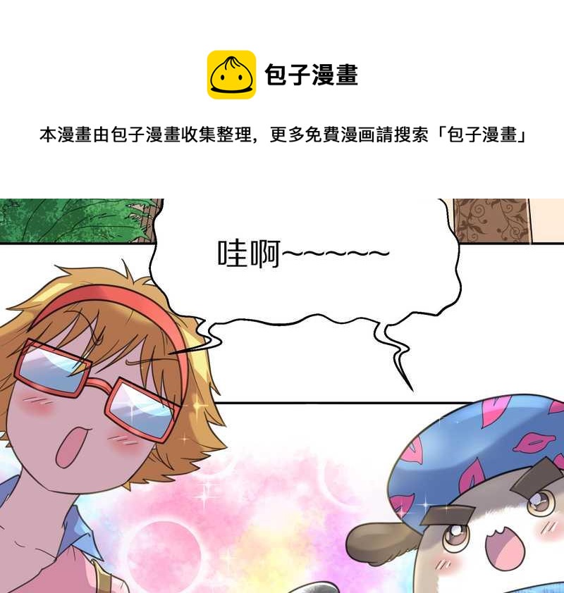 毛球星传说 第40集(1/2)-第40话