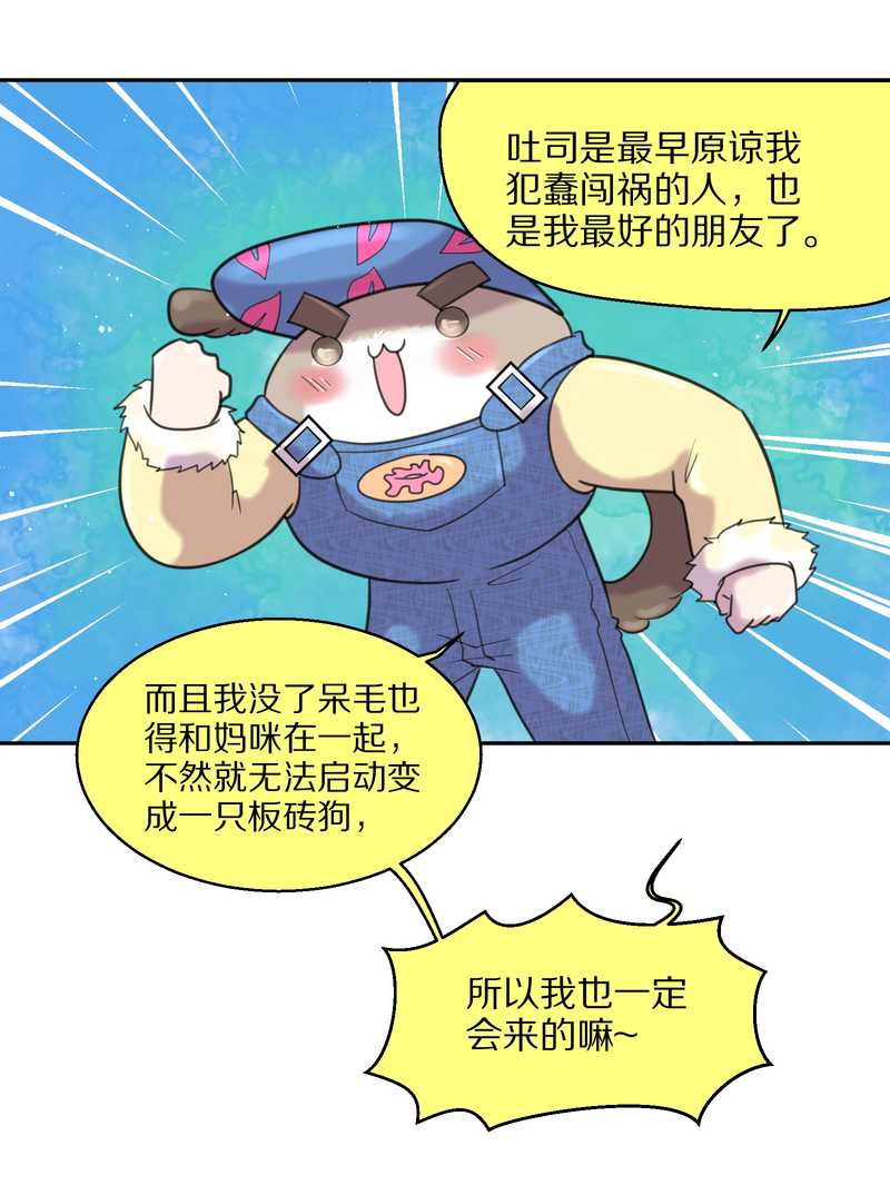 毛球星传说 第40集(1/2)-第40话