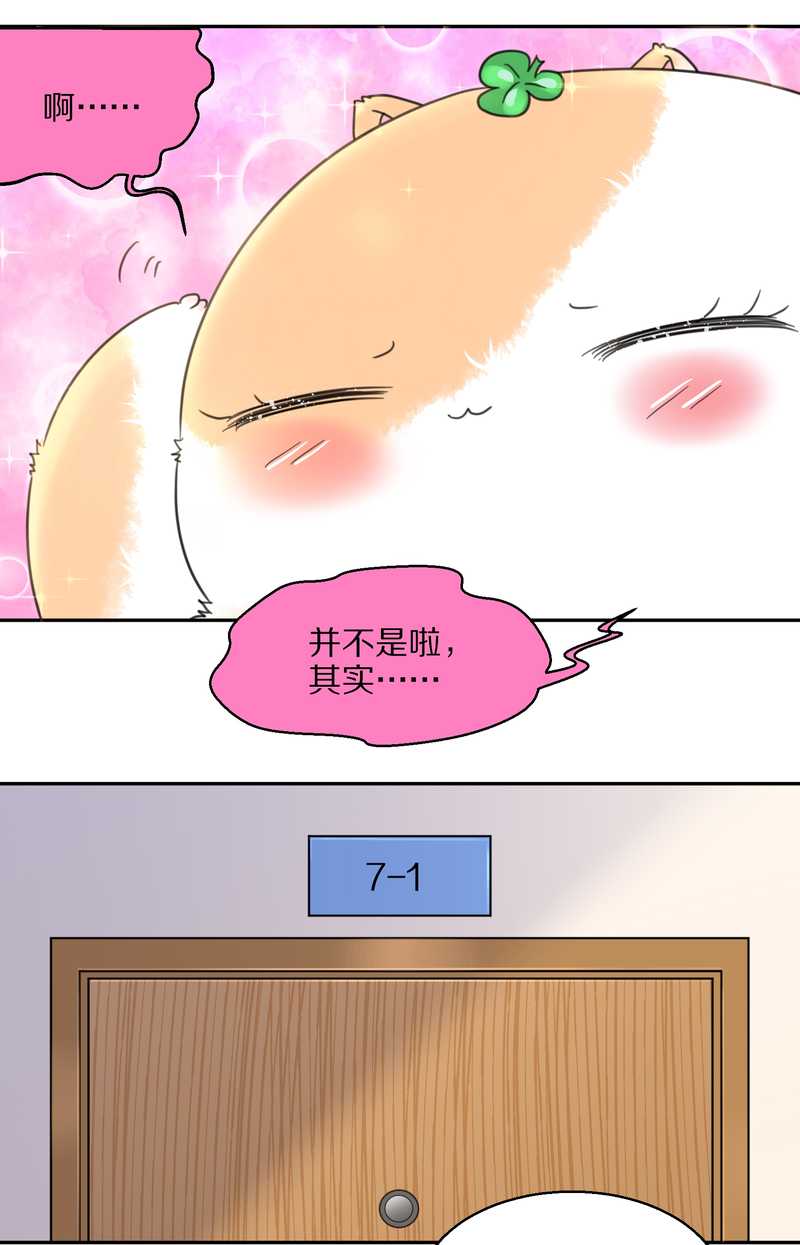 毛球星传说 第40集(1/2)-第40话