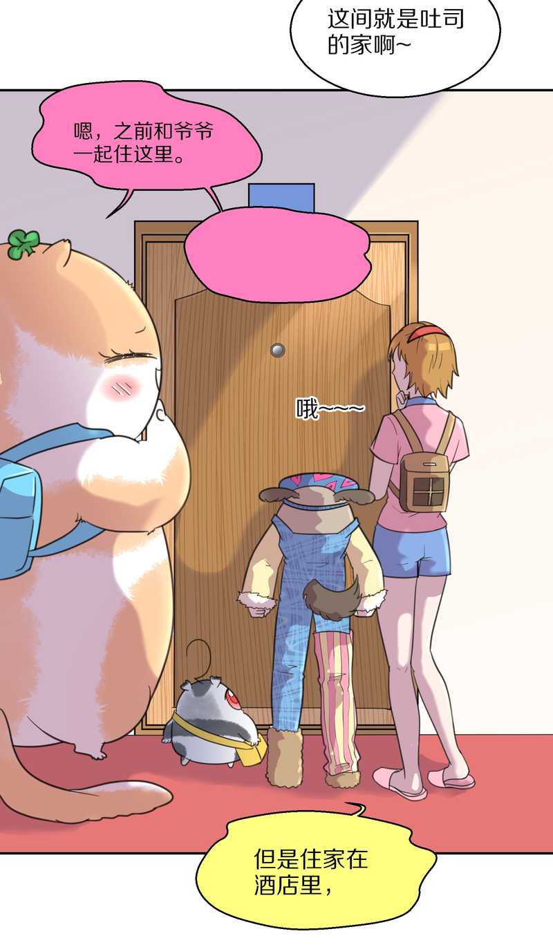 毛球星传说 第40集(1/2)-第40话