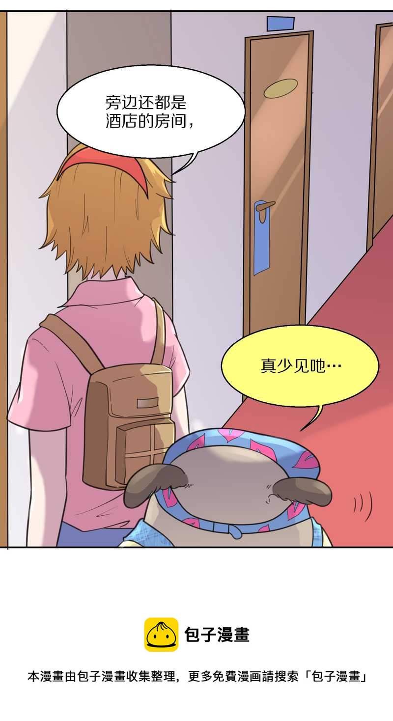 毛球星传说 第40集(1/2)-第40话