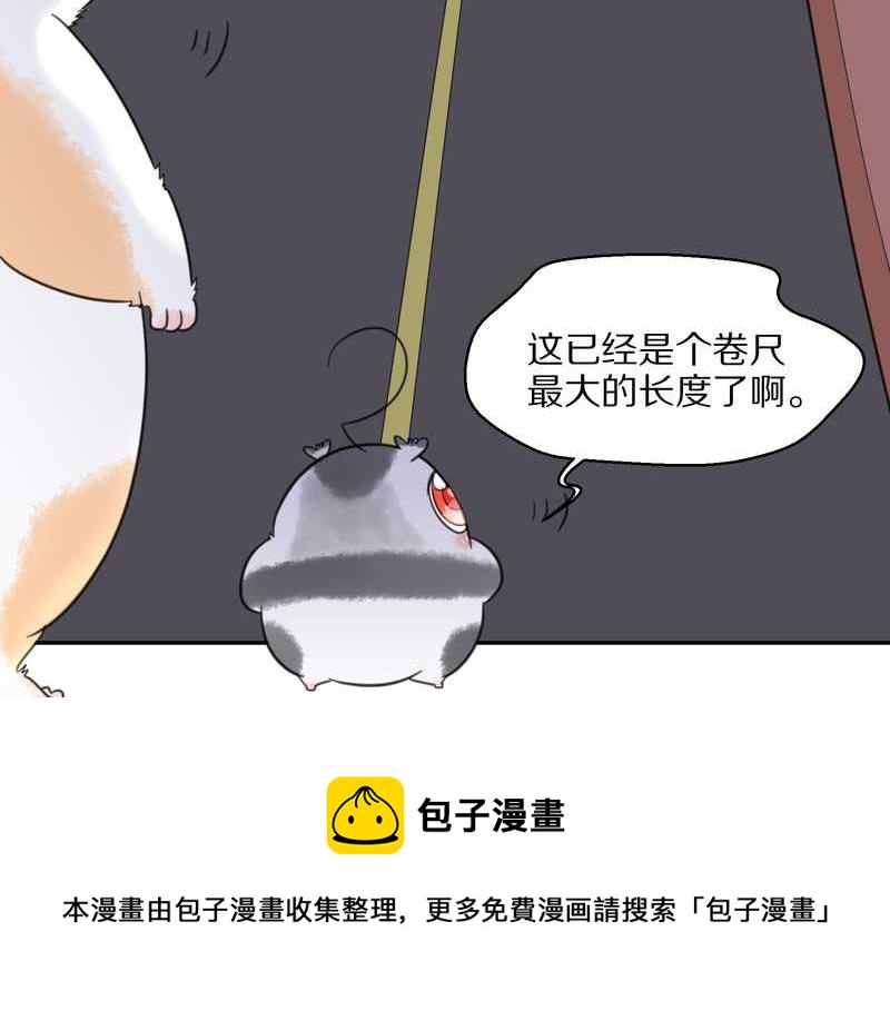 毛球星传说 第42集(1/2)-第42话