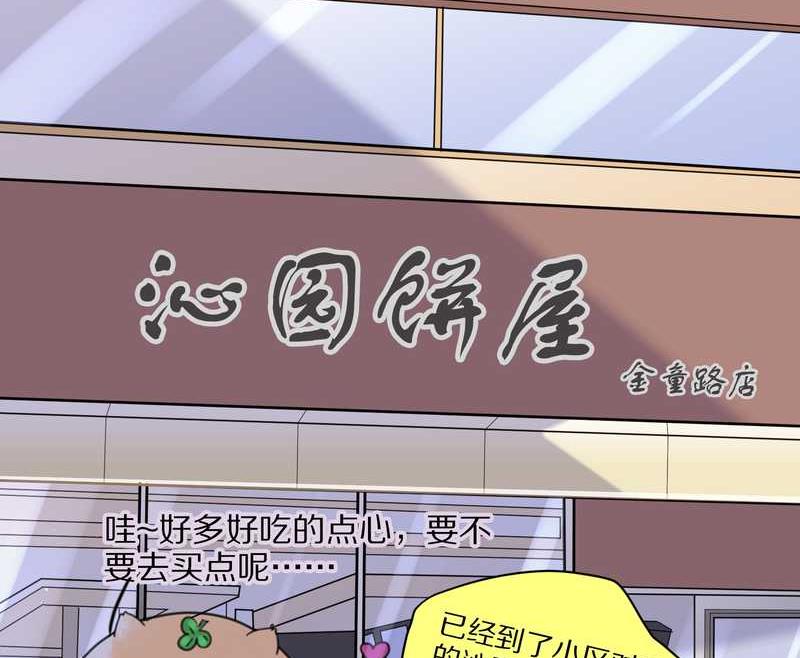 毛球星传说 第42集(1/2)-第42话