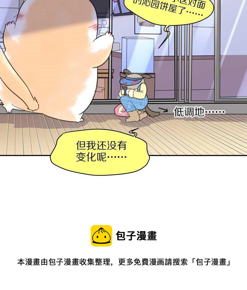 毛球星传说 第42集(1/2)-第42话