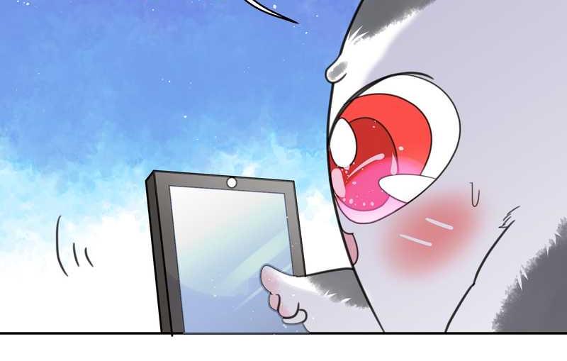 毛球星传说 第42集(1/2)-第42话