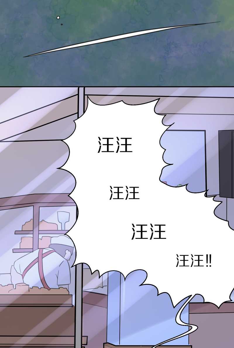 毛球星传说 第42集(1/2)-第42话