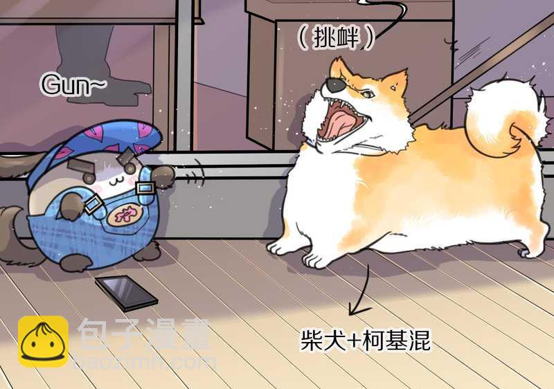 毛球星传说 第42集(1/2)-第42话