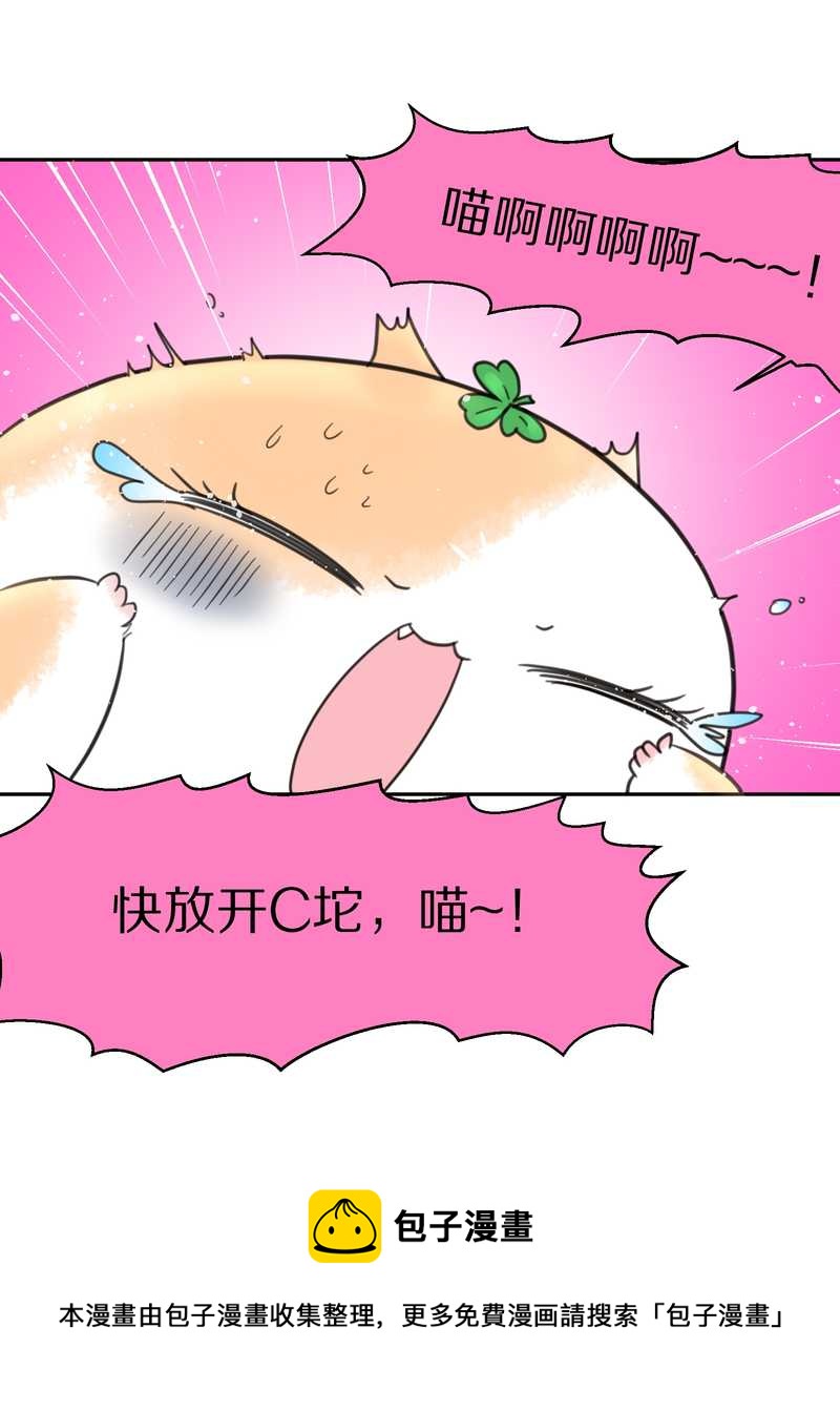 毛球星传说 第42集(1/2)-第42话