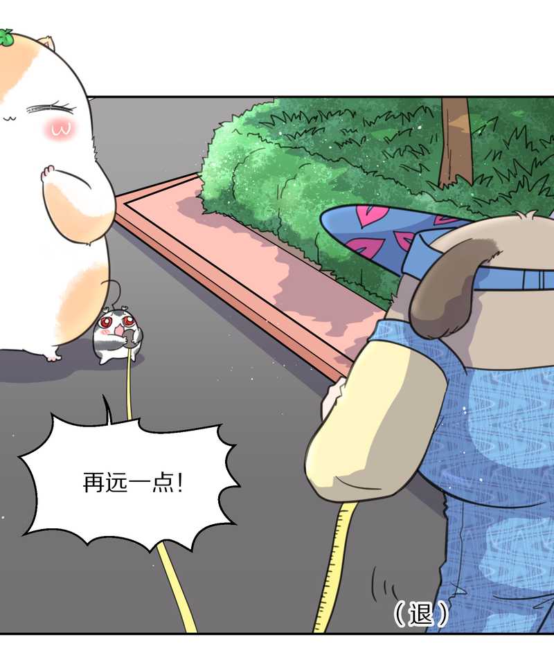 毛球星传说 第42集(1/2)-第42话