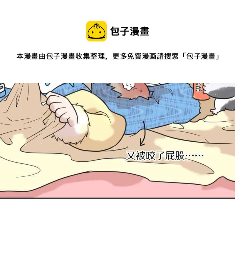 毛球星传说 第42集(1/2)-第42话