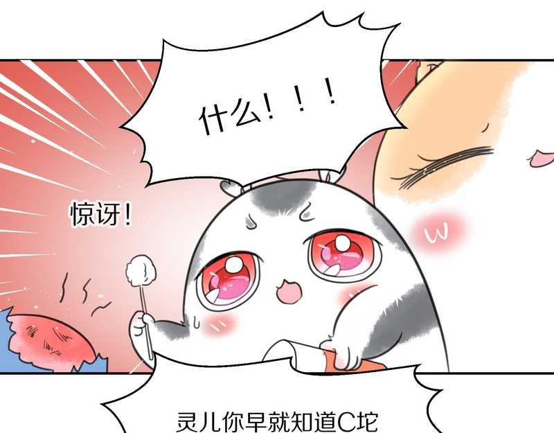 毛球星传说 第42集(1/2)-第42话