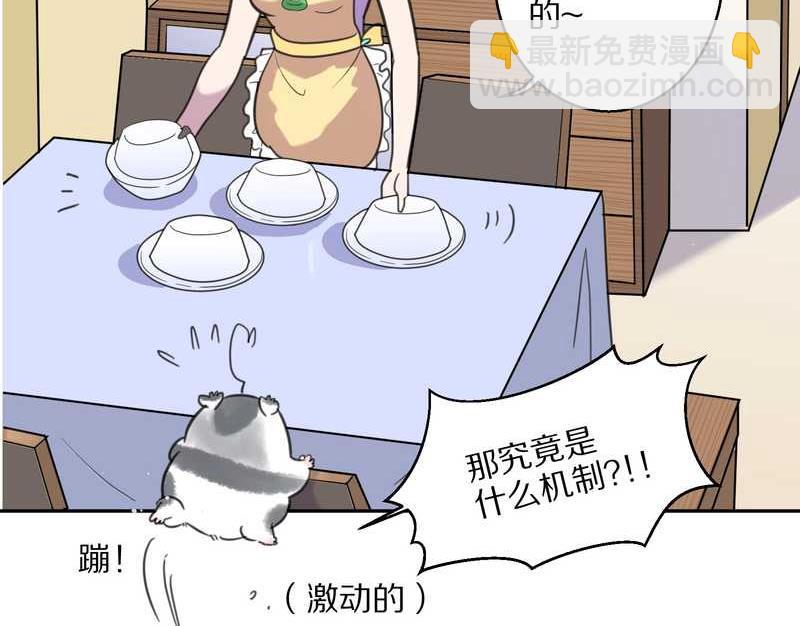 毛球星传说 第42集(1/2)-第42话