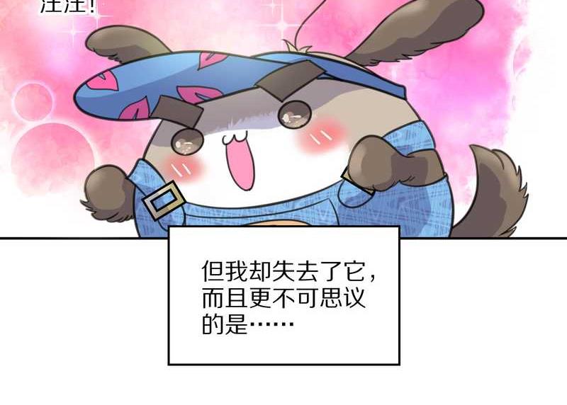 毛球星传说 第42集(1/2)-第42话