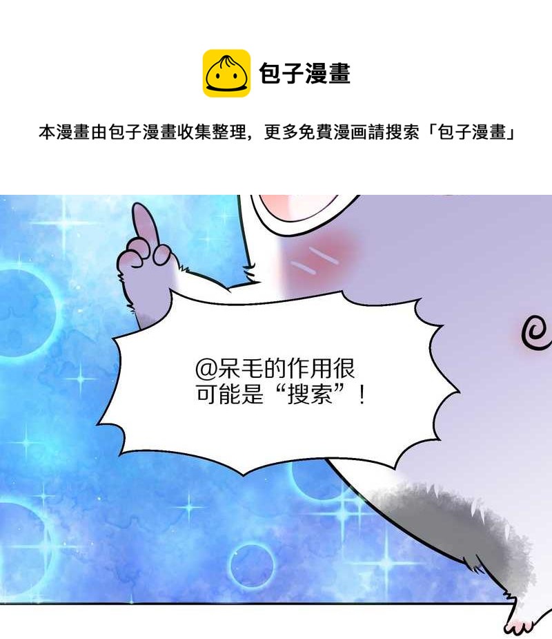 毛球星传说 第44集-第44话