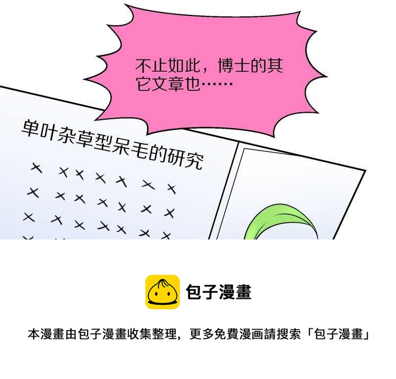 毛球星传说 第44集-第44话