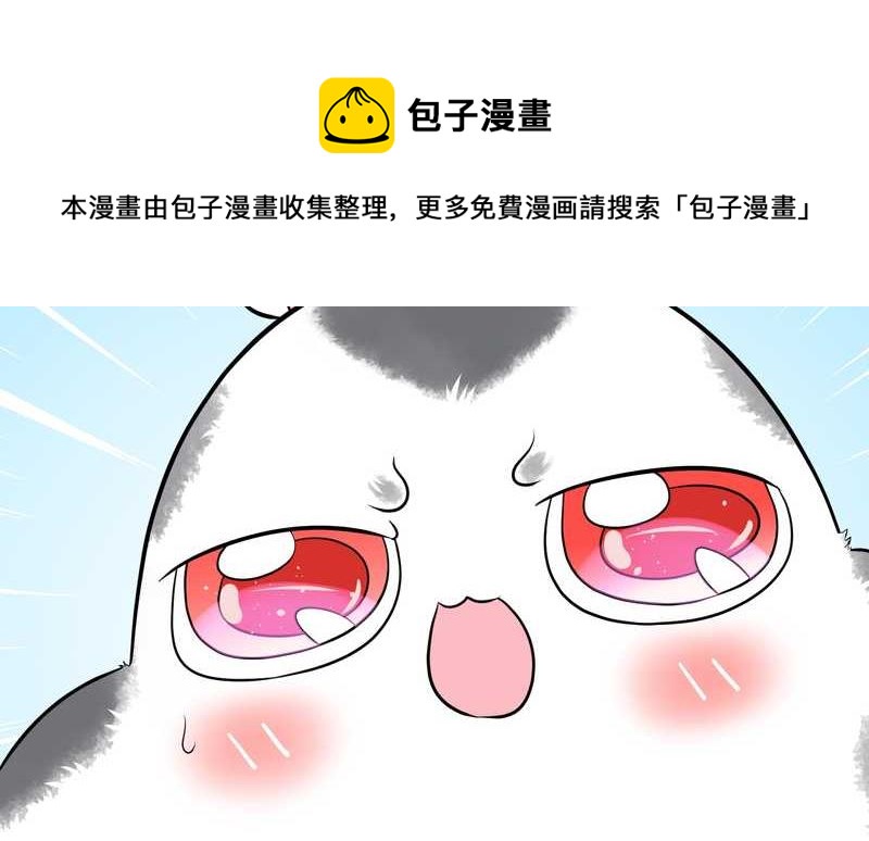 毛球星传说 第44集-第44话