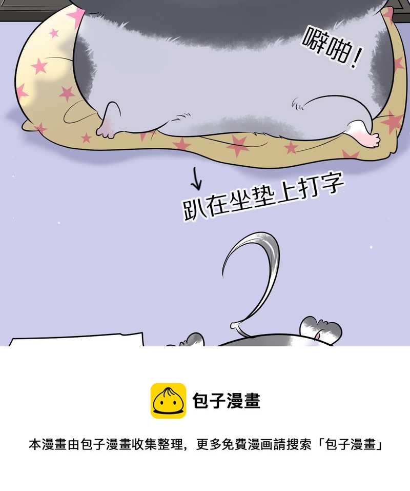 毛球星传说 第44集-第44话